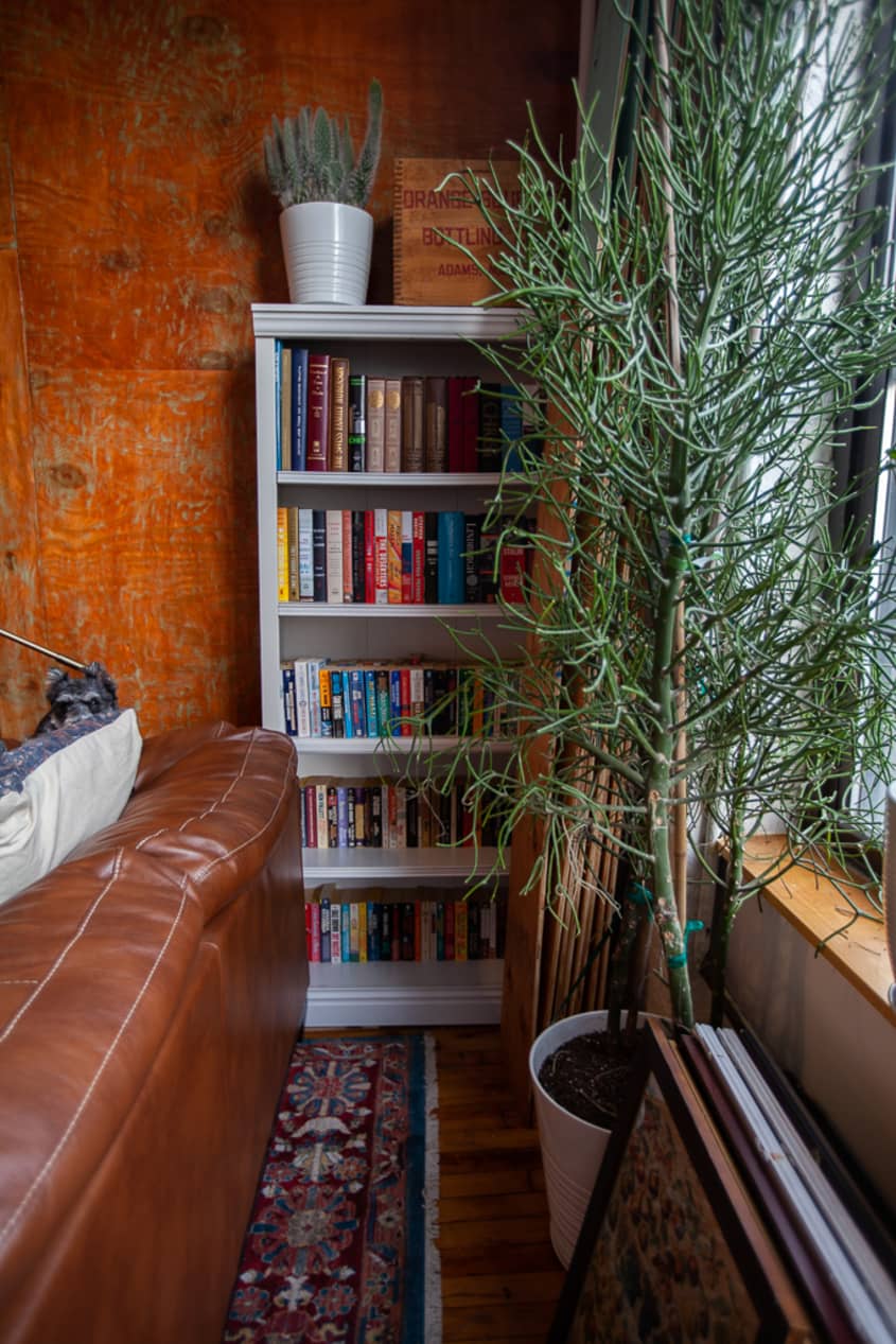 Image showcasing Warm Industrial Bushwick Brooklyn Custom Loft Photos | Apartment Therapy